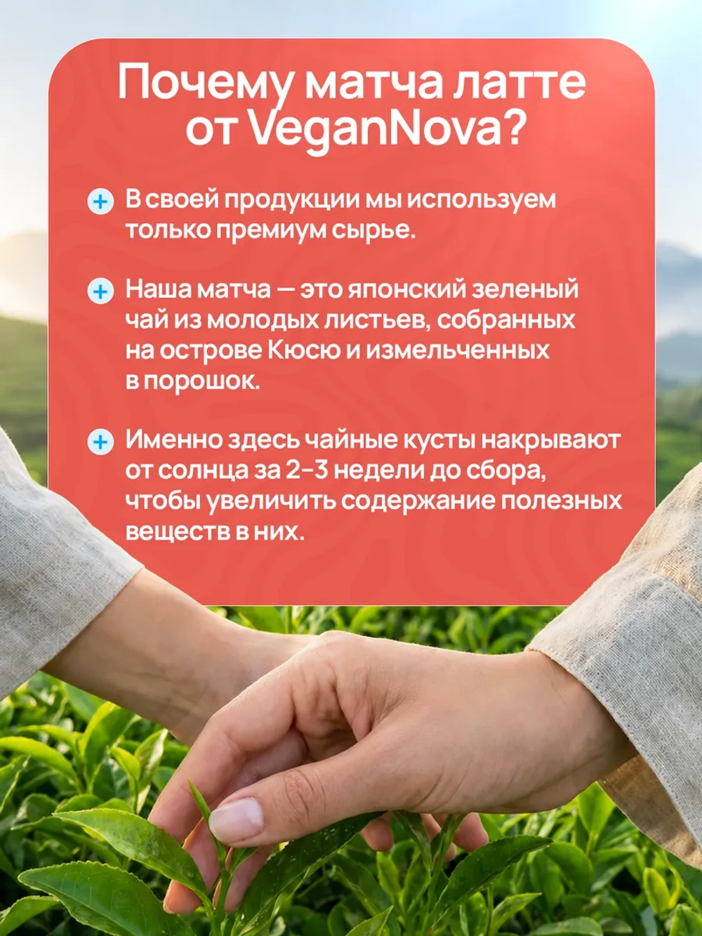 Матча латте с магнием (100 гр)
