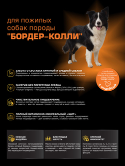 Корм сухой для пожилых собак породы Бордер-колли старше 5 лет, с индейкой, 12 кг, QUATTRO