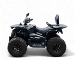 Квадрицикл Bizon YK250 LUX EFI ПТС