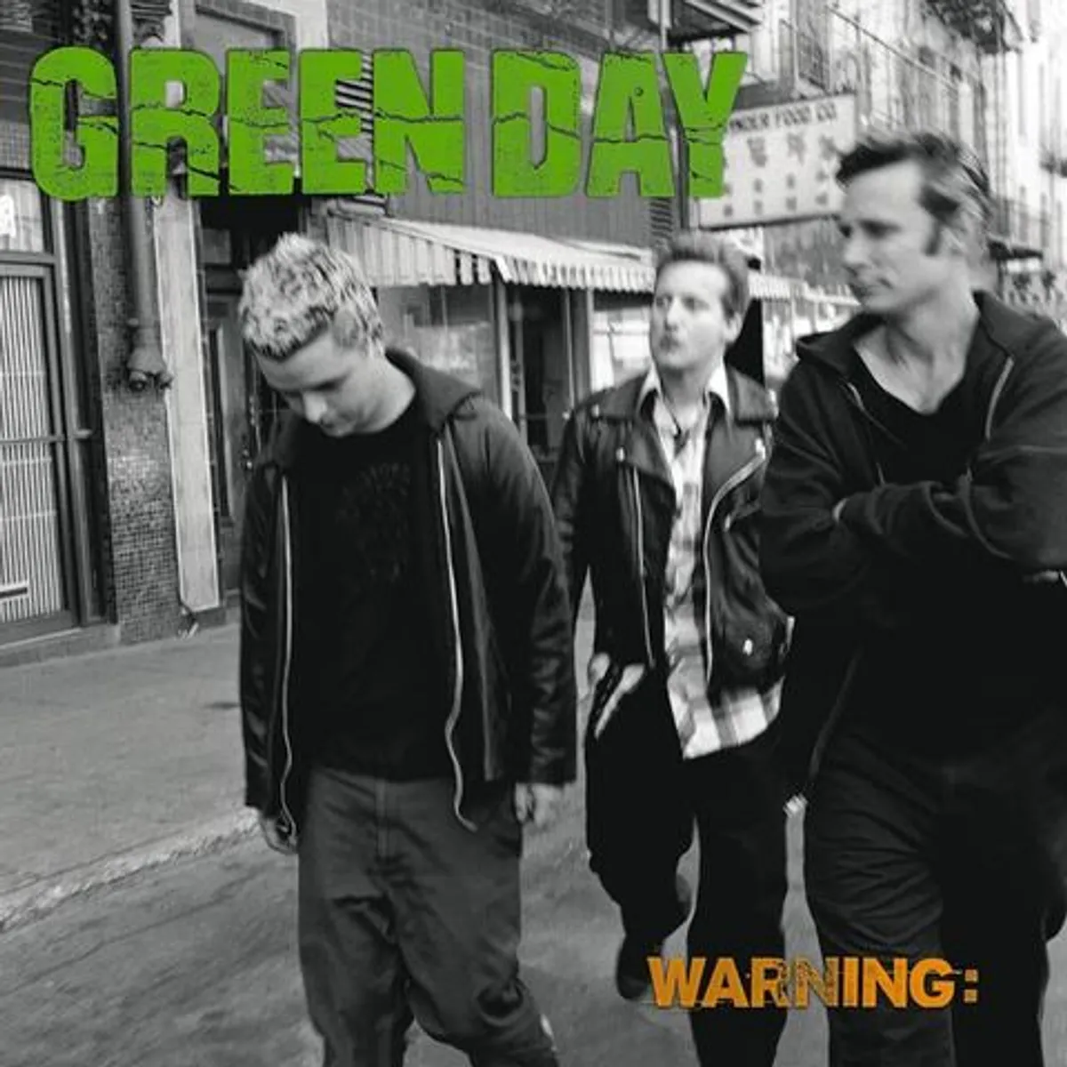 Виниловая пластинка. Green Day – Warning: