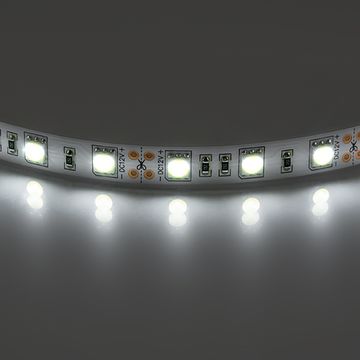 Светодиодная лента 5050/60 12V 14.4W IP20 холодный белый свет 400054 Lightstar