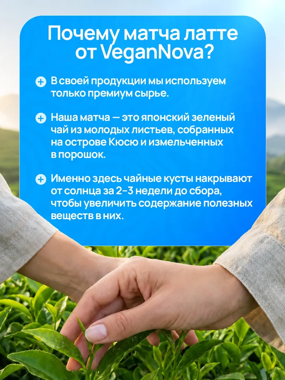 Матча латте с коллагеном (100гр)