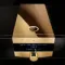 MBL C51 Integrated Amplifier Black Gold