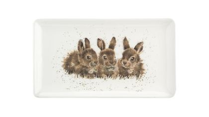 Блюдо сервировочное 20х8см Royal Worcester Забавная фауна Крольчата