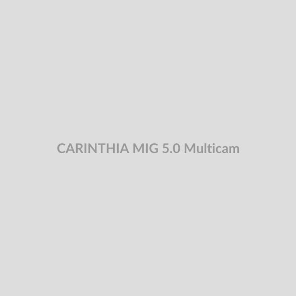 Штаны CARINTHIA ECIG 5.0 - Oliv