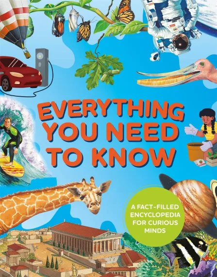 Everything You Need to Know