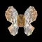 Настенный светильник Borboleta FL1103-1W4 Fluorite