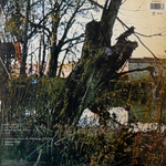 Black Sabbath - Black Sabbath (Европа 2020г.)