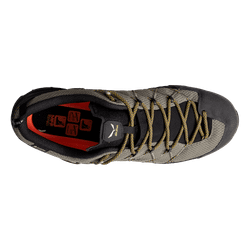 Ботинки Salewa Wildfire 2 Gtx M Bungee Cord/Black