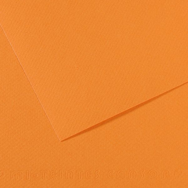 Бумага для пастели Mi-Teintes 160 г/м², 50х65 см, 10 л, №384 Буйволовая кожа, Canson, C31032S102