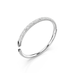 METEORA:BANGLE CRY/RHS S