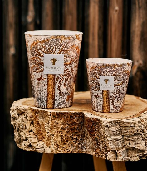 Dualla, свеча MAX 10 Sacred Trees collection, Baobab Collection
