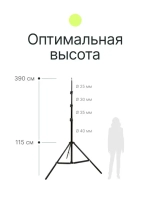 Стойка Raylab LS005 3,9м с воздушной амортизацией