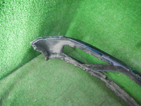 DSCN8912.JPG