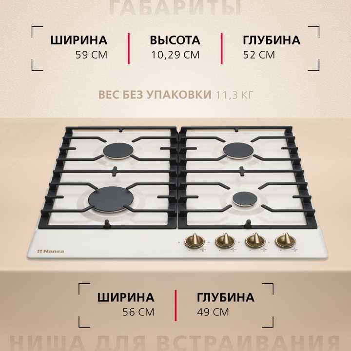 Газовая панель Hansa BHGY610791