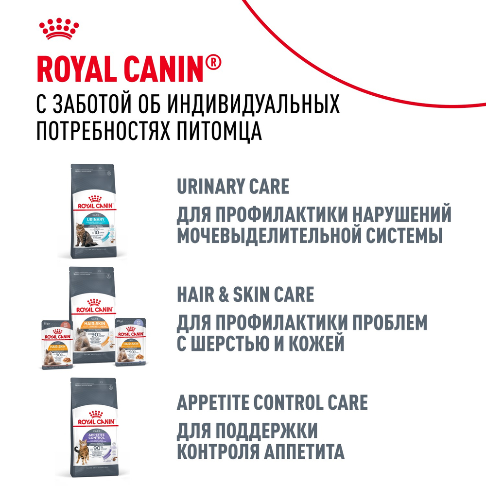 Royal Canin Maine Coon Adult Мейн Кун Эдалт Корм влажный для взрослых кошек породы Мэйн Кун соус 85г