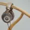 Focal Clear MG