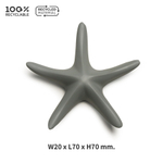 Магнит sea star