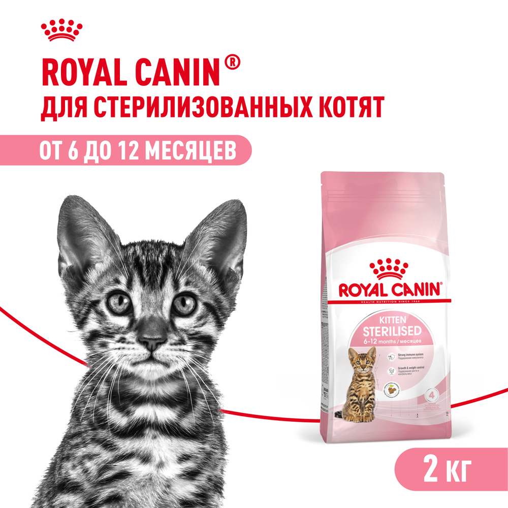 Royal Canin Kitten Sterilised Киттен Стерилайзд Корм сухой для стерилизованных котят с момента операции до 12 месяцев 2кг