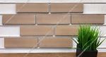 live