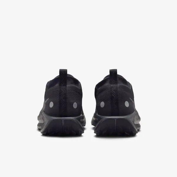Кроссовки мужские NIKE Pegasus Trail 5 GORE-TEX