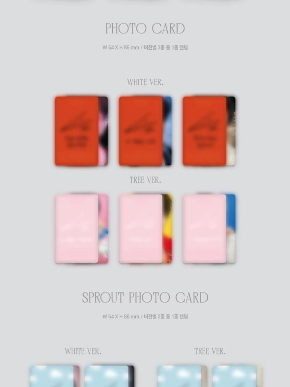 Альбом NAM WOO HYUN - WHITREE 1st Album 2 Version SET