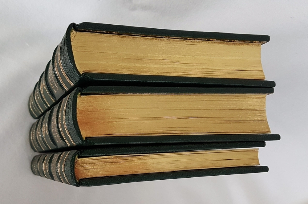 "Птицы". М.А.Мензбир. 1918г. - антикварное издание