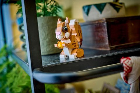 Конструктор LEGO Creator 3in1 31382 Cute Animals: Playful Puppy Dog
