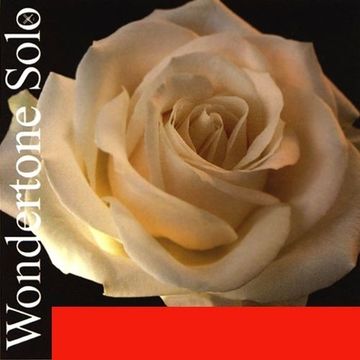 Струны для скрипки (синтетика), Pirastro 410021 Wondertone Solo