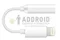 Кабель Lightning / AUX 3.5 JH-025 Белый