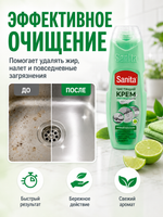 Чистящее средство универс.крем Sanita Зеленый чай и лайм 300мл