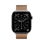 Умные часы Apple Watch Series 11 GPS + Cellular, 46mm, Slate Titanium Case with Gold Milanese Loop