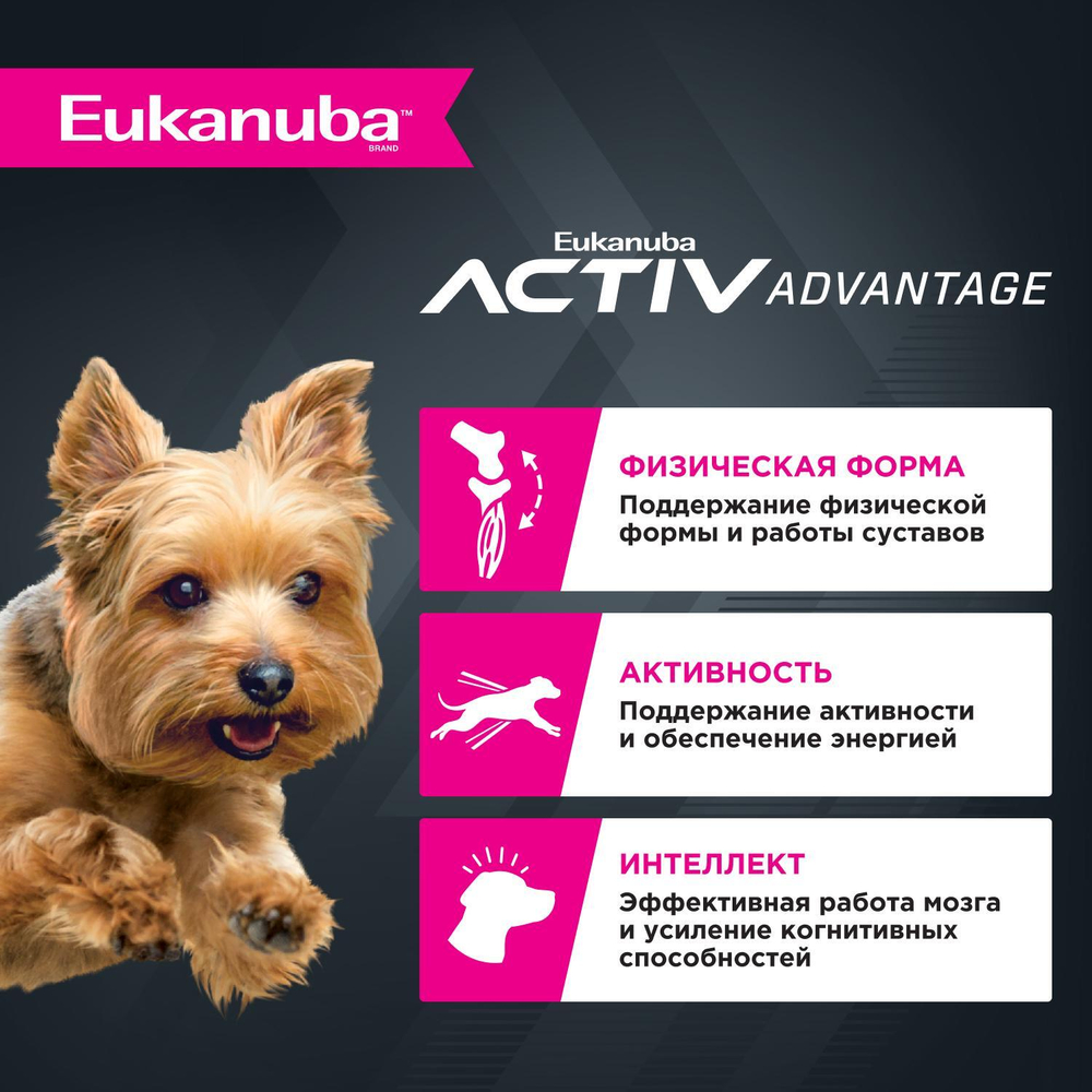 Сухой корм Eukanuba Adult Toy Breed 1+ years для взрослых собак миниатюрных пород с курицей 1,5 кг
