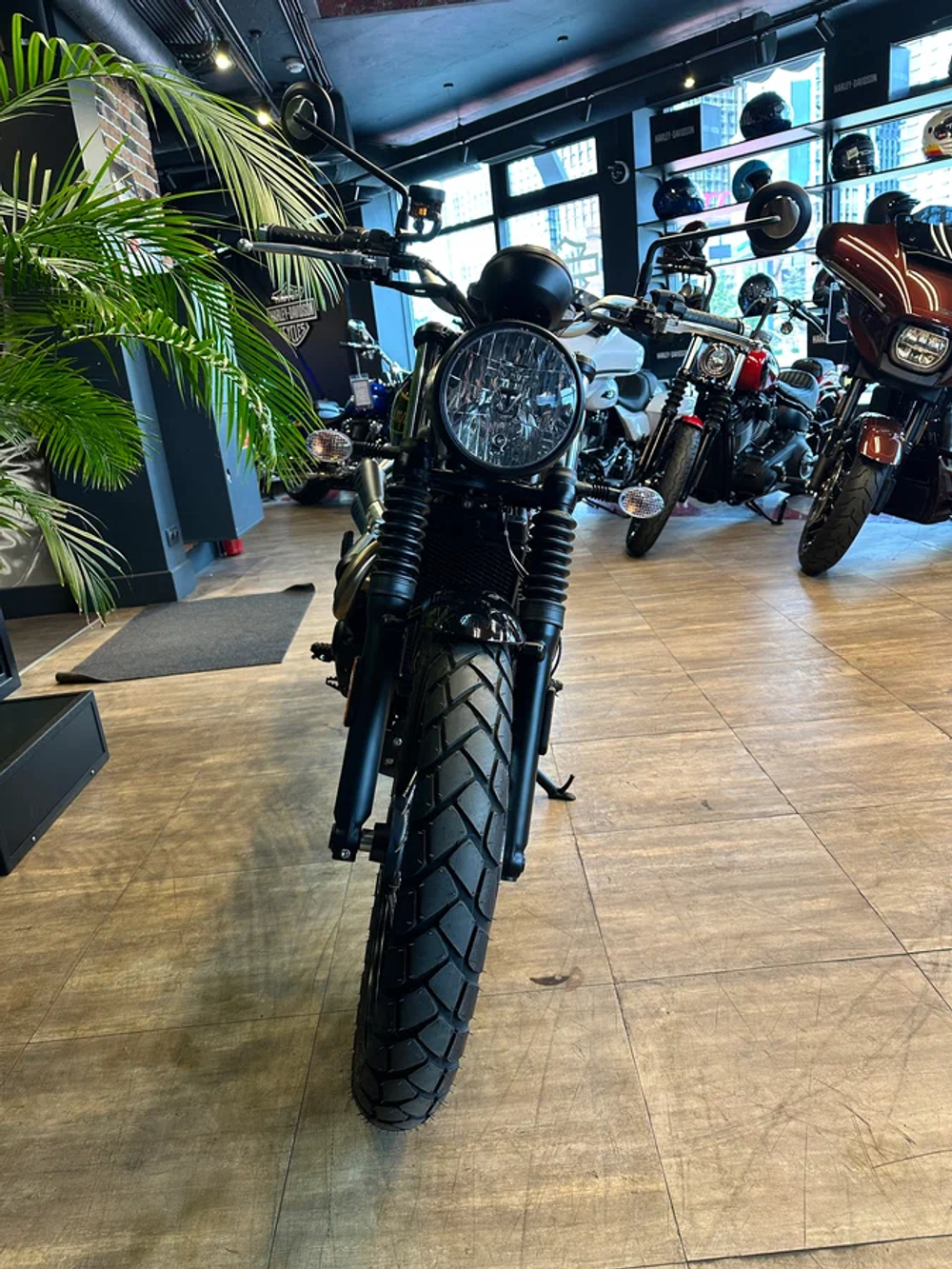 Triumph Scrambler 900, 2025