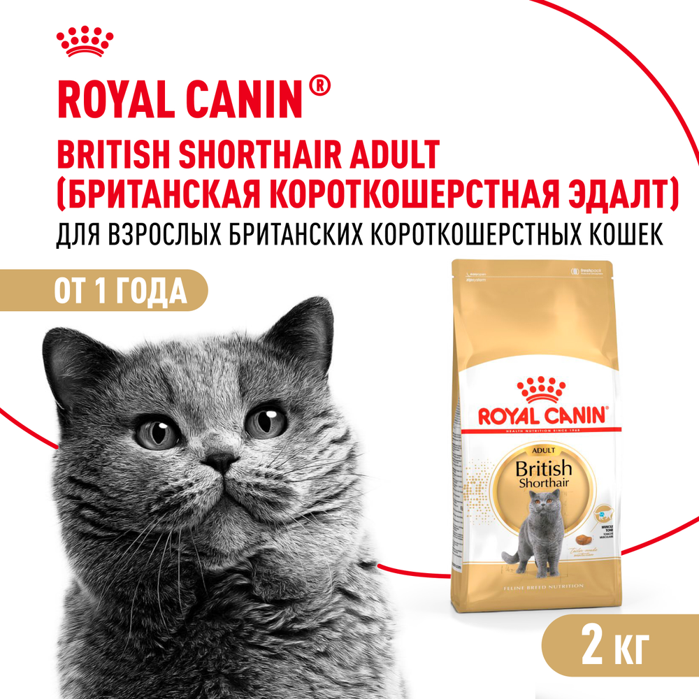 Royal Canin British Shorthair Adult Британская короткошерстная Эдалт Корм сухой для взрослых британских кошек 2кг