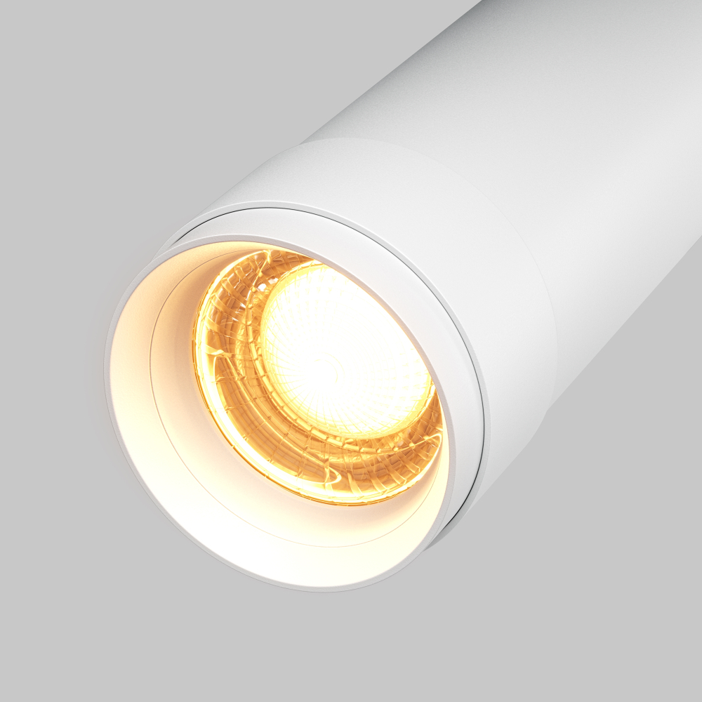 Потолочный светильник Technical C055CL-L12W2.7K-Z-W