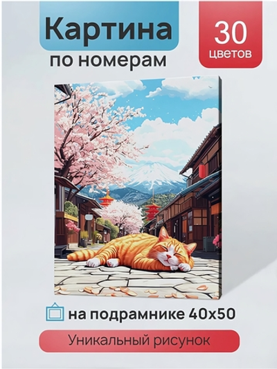Картина по номерам 40х50см. "Котик на солнышке" (на подрам.) (арт.ХК-3898)