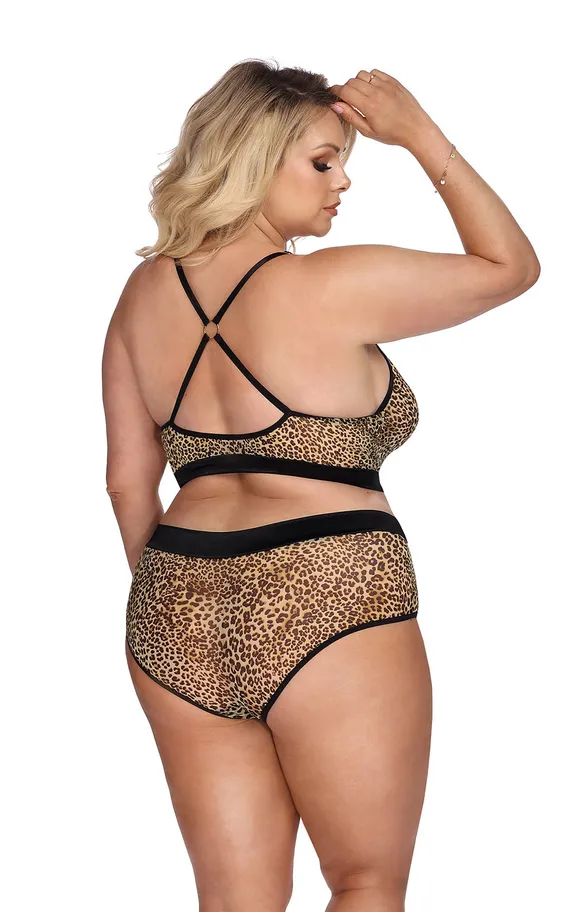 Marciana set