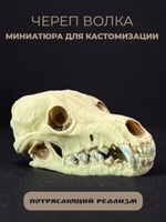 Череп барана миниатюра для декора, настольных игр, тематических предметов, фентези-атрибутов, диорам и инсталяций.