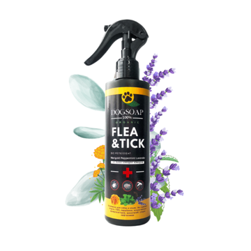 Спрей-репеллент с лавандой от паразитов Flea&Tick DogSoap