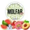 Molfar Virginia Line - Эдем (100г)