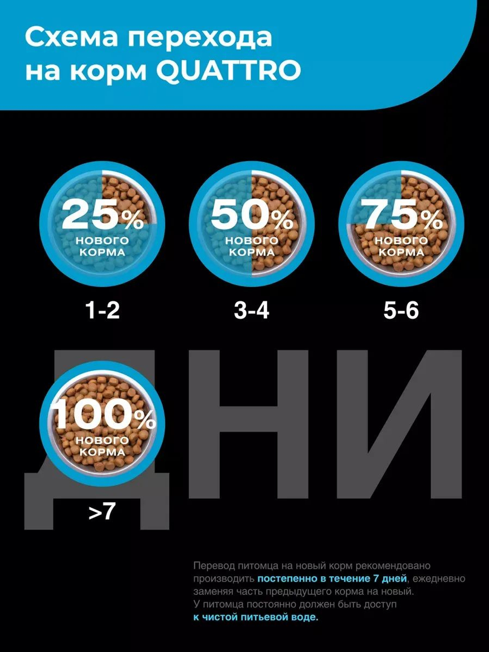 Корм сухой для взрослых собак породы Пекинес, с лососем, 800 гр, QUATTRO