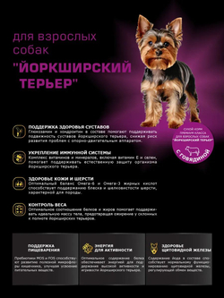Корм сухой для взрослых собак породы Йоркширский терьер, с говядиной, 2,5 кг, QUATTRO
