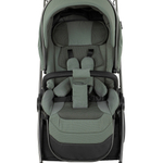 Коляска 2 в 1 Pituso Teffy Sage Green шасси Graphite