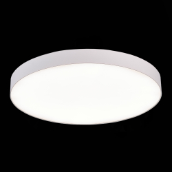 Светильник потолочный ST Luce ST606.542.96