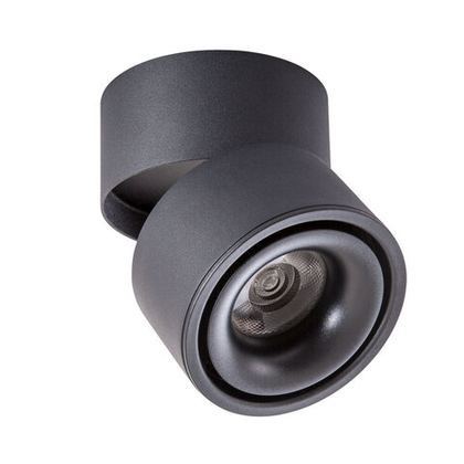 Светильник потолочный Arte Lamp Arcturus A7715PL-1BK