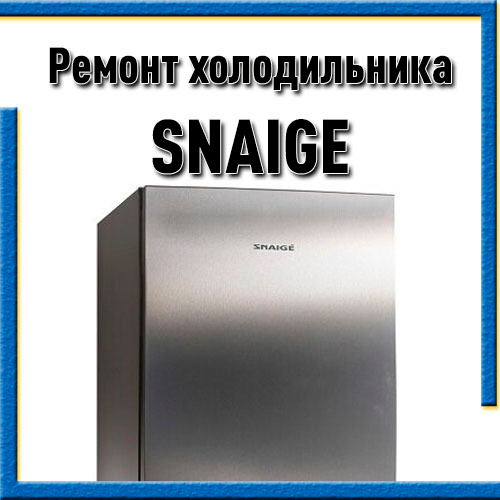 Ремонт холодильников Snaige (Снайге) на дому в Казани
