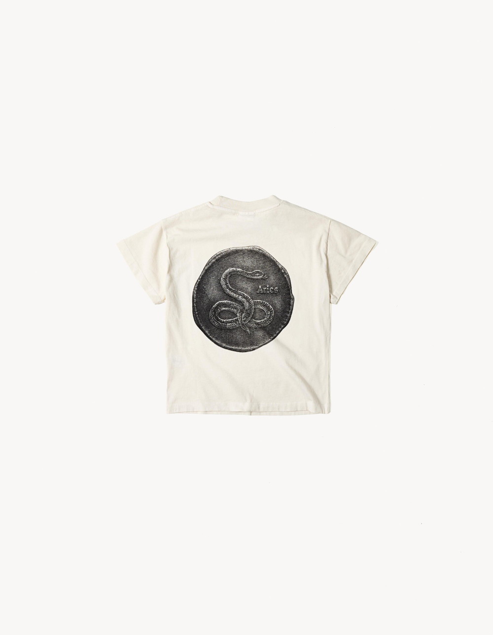 Мужская футболка regular fit ARIES X BERSHKA, арт. 2078/071 - BERSHKA