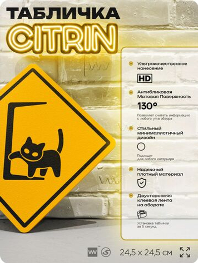 Табличка "Осторожно, котик" шуточная прикольная табличка на дверь и стену, для офиса и дома, декоративный знак, 24,5х24,5 см, пластиковая, Айдентика Технолоджи