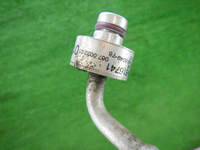 DSCN4294.JPG